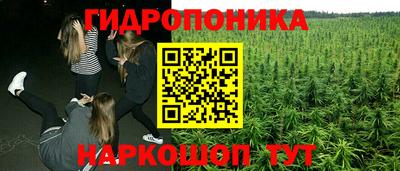 стаф Ярославль