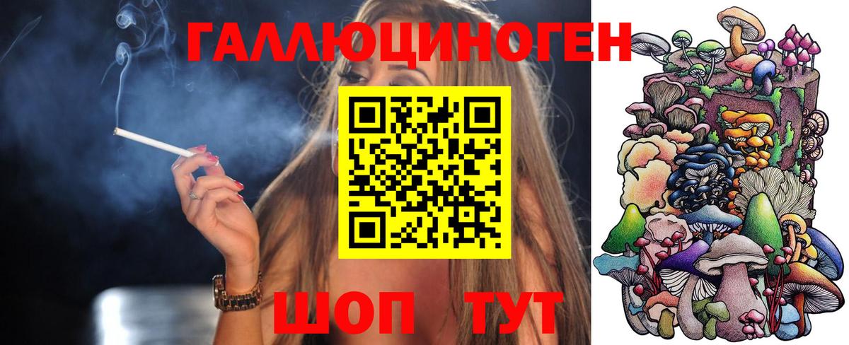 Ачинск  Галлюциногенные грибы MAGIC MUSHROOMS  хочу наркоту  Вход с VPN  Галлюциногенные грибы Cubensis 